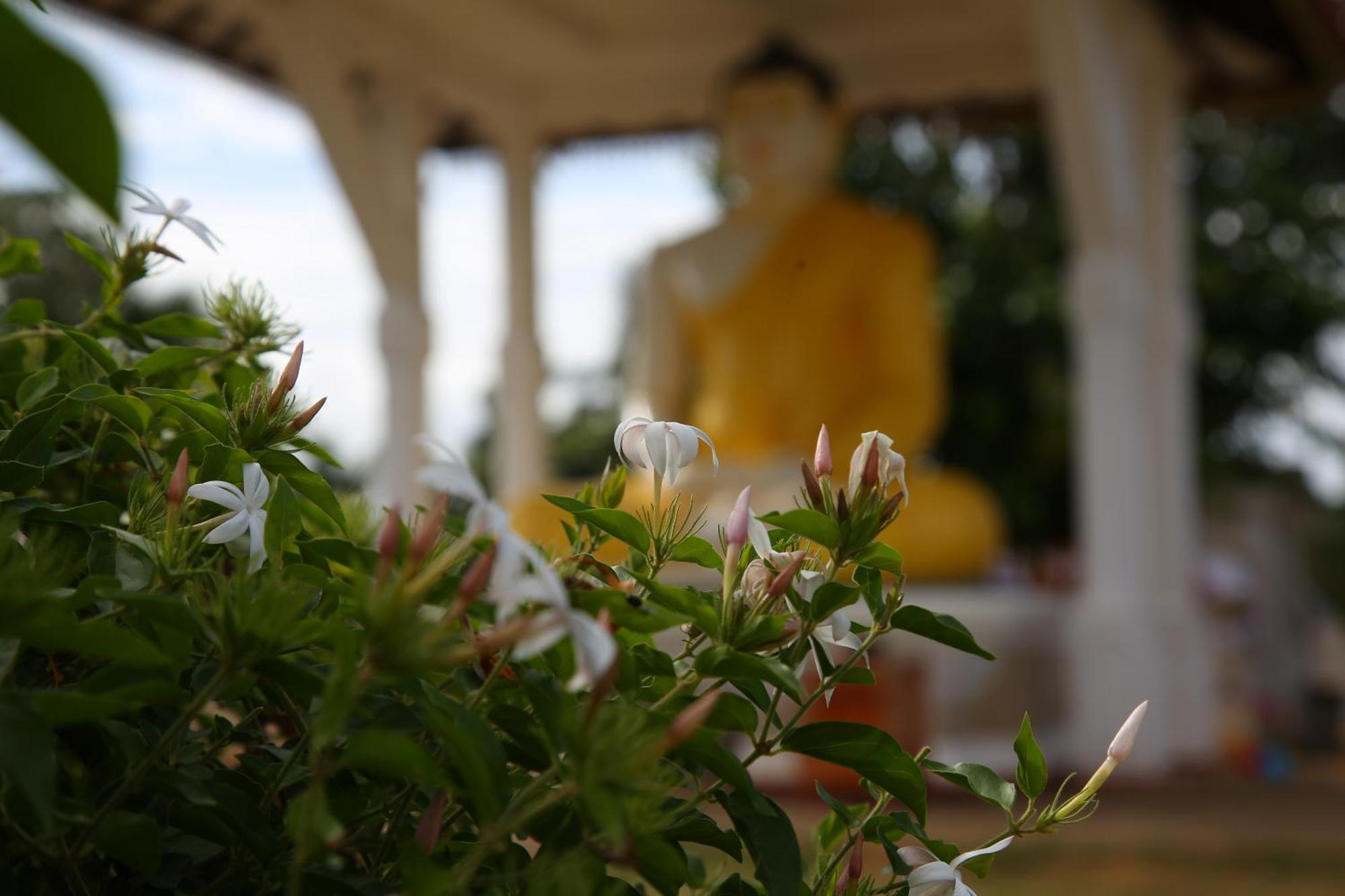 The Yala City Guest House Tissamaharama Zewnętrze zdjęcie