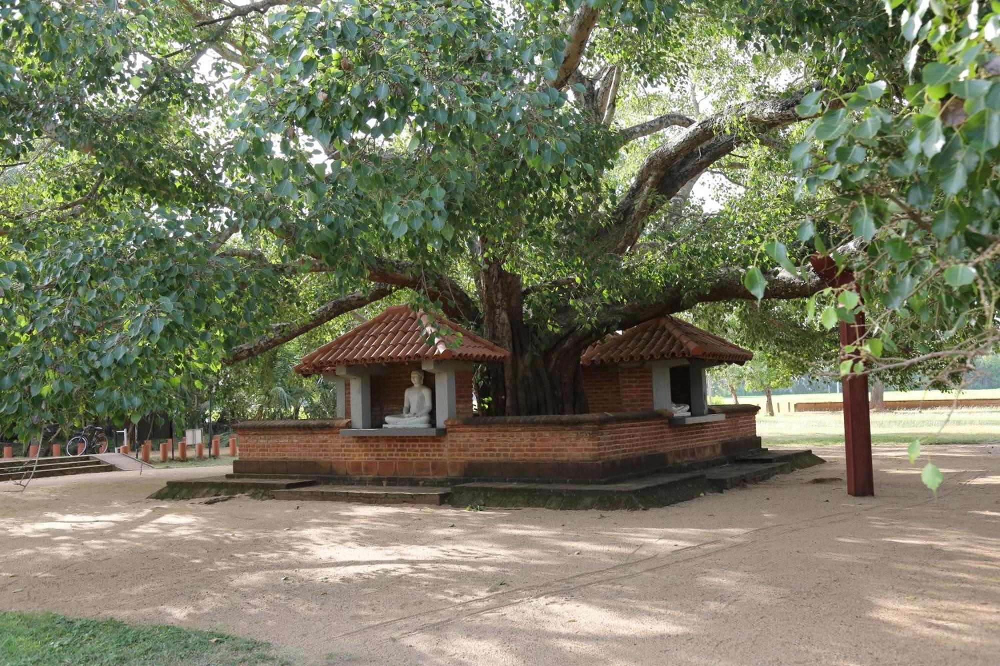The Yala City Guest House Tissamaharama Zewnętrze zdjęcie