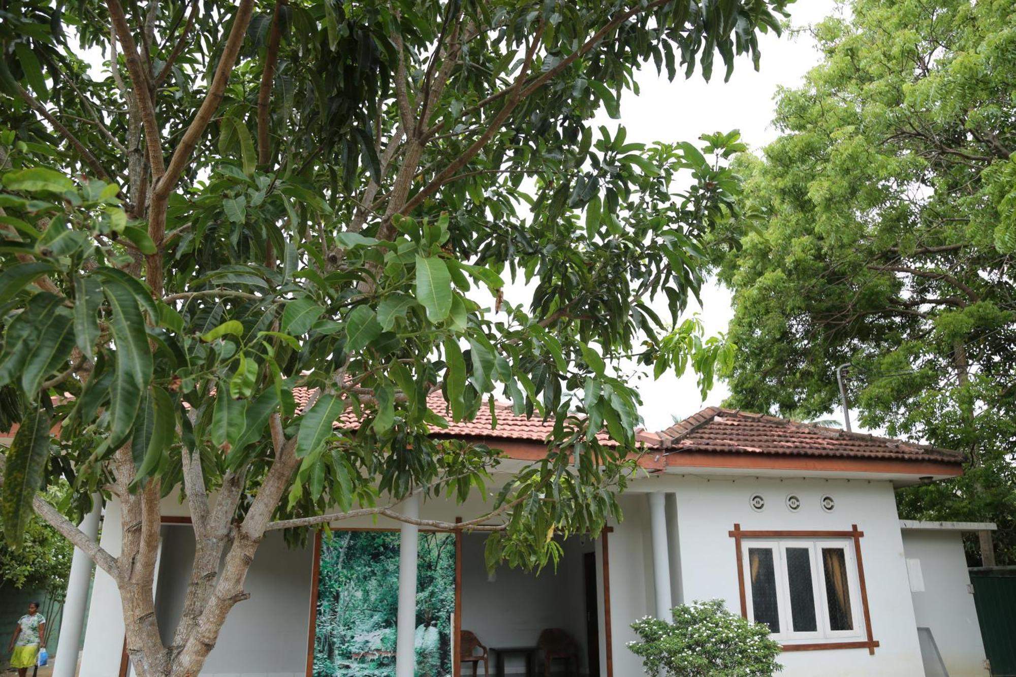 The Yala City Guest House Tissamaharama Zewnętrze zdjęcie