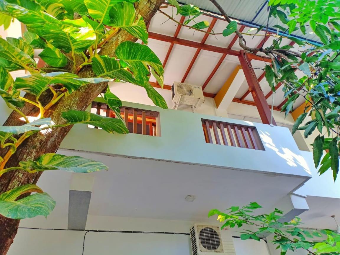 The Yala City Guest House Tissamaharama Zewnętrze zdjęcie